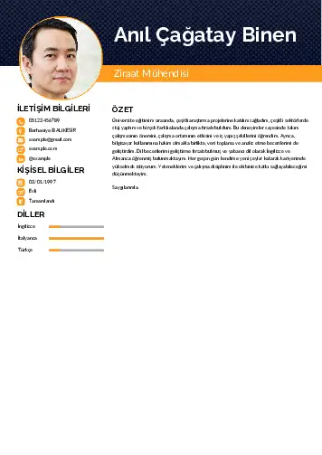 Ziraat Mühendisi Cv Örnekleri cv indir